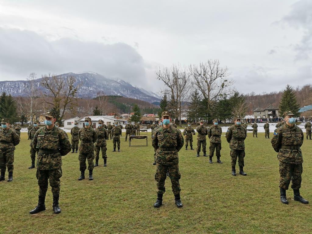 Oružane snage Bosne i Hercegovine